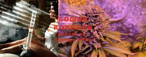 шишки Волоколамск