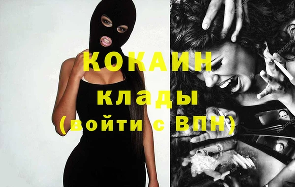 шишки Волоколамск